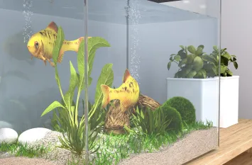 acquario