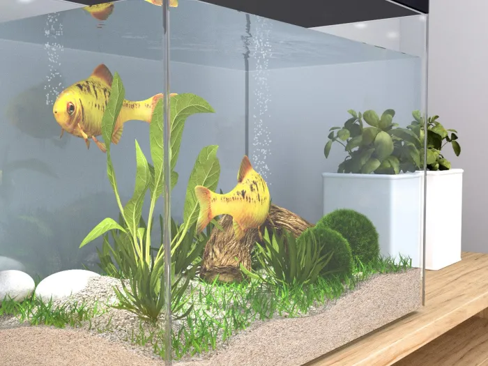 acquario